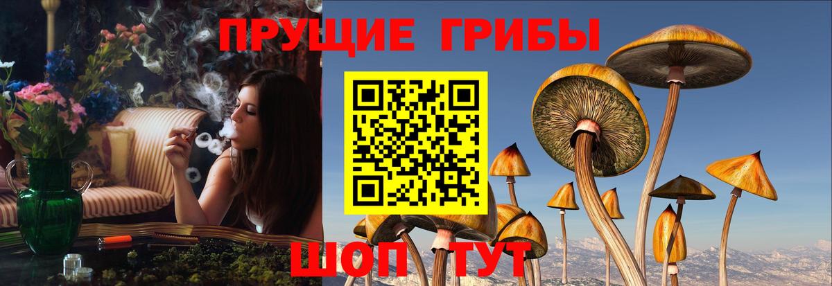 Галлюциногенные грибы ЛСД  Псилоцибиновые грибы мухоморы  Вход с VPN  Нурлат 