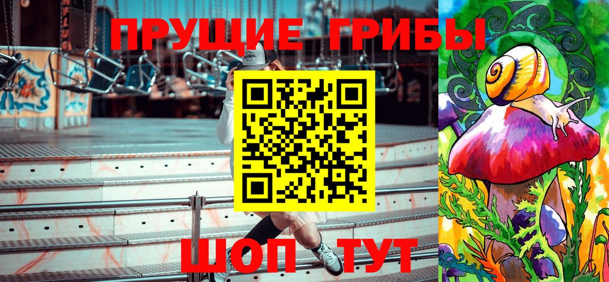 Галлюциногенные грибы Psilocybe Нурлат